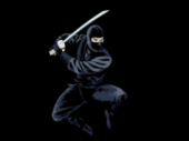 Ninjas R Us profile picture