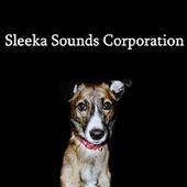 Sleeka Sounds Corporation profile picture