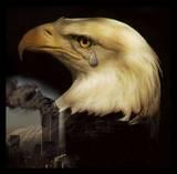 Eagle Luver profile picture