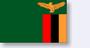 Zambians & Friends of Africa profile picture