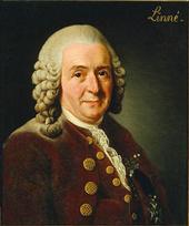 carllinnaeus