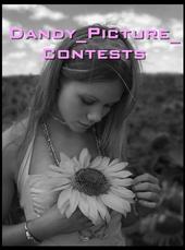 Dandy Picture Contests profile picture