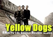 Yellow Dogs profile picture