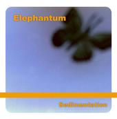 Elephantum profile picture