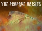 The Propane Daisies profile picture