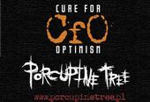 Cure for Optimism profile picture