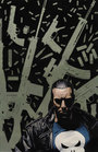 The Punisher profile picture