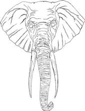 The Elephant Clothing Co. profile picture