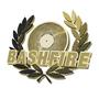 BASHFIRE profile picture