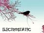 ELECTROSTATIC profile picture