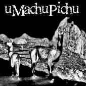 uMachuPichu profile picture