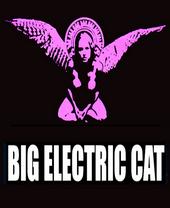 Big Electric Cat profile picture