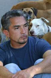 cesarmillan