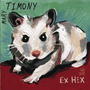 The Mary Timony Band profile picture