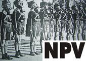 NPV profile picture