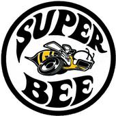 HemiSuperBee profile picture