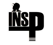 Ins-P IS REBUILDING profile picture