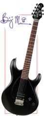 Ernie Ball Music Man profile picture