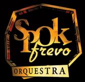 SpokFrevo Orquestra profile picture