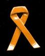 S.I. Awareness profile picture