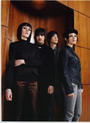 Ladytron profile picture