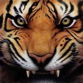 Tiger of the Infrared Knife profile picture