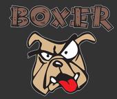 Boxer profile picture