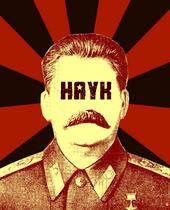 Hayk profile picture