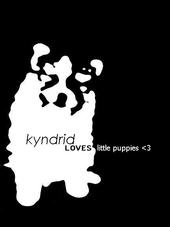 Kyndrid profile picture