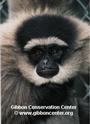 Gibbon Conservation Center profile picture