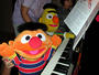 bert and ernie profile picture