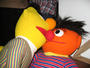 bert and ernie profile picture