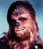 Chewbacca profile picture