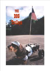 The Dog Trolleys profile picture