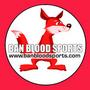 Irish Council Against Blood Sports profile picture