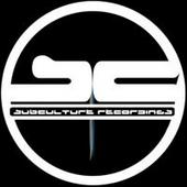 SUBCULTURE RECORDINGS profile picture