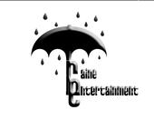 Raine Entertainment profile picture