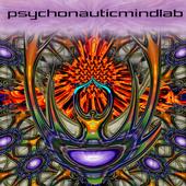 psychonauticmindlab profile picture