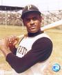 Roberto Clemente profile picture