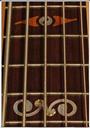 Davidson Stringed Instruments profile picture