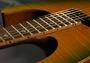 Davidson Stringed Instruments profile picture