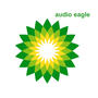 Audio Eagle Records profile picture