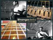 Bhangadelia profile picture