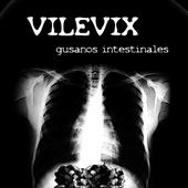 VileVix ENTRA Y DESCARGATE GUSANOS INTESTINALES profile picture