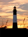 Tybee Island profile picture