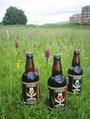 Black Isle Brewery profile picture