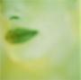 Green Gypsy profile picture