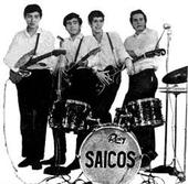 Los Saicos profile picture