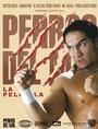 HIJO DEL PERRO AGUAYO profile picture