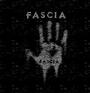 Fascia profile picture